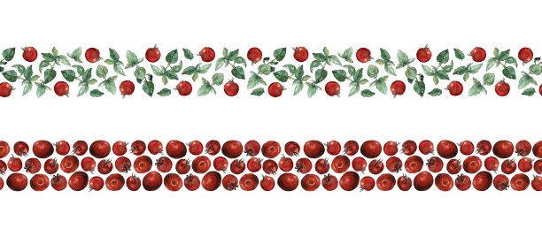 红色的圣女果和绿色的罗勒嫩枝和叶子的边界是无缝的，孤立在白色的叶子上。水彩插图。图片下载