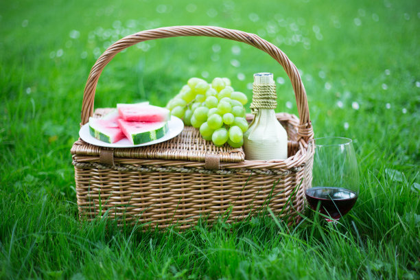 野餐篮子水果和一杯酒在绿色草地上的公园图片下载
