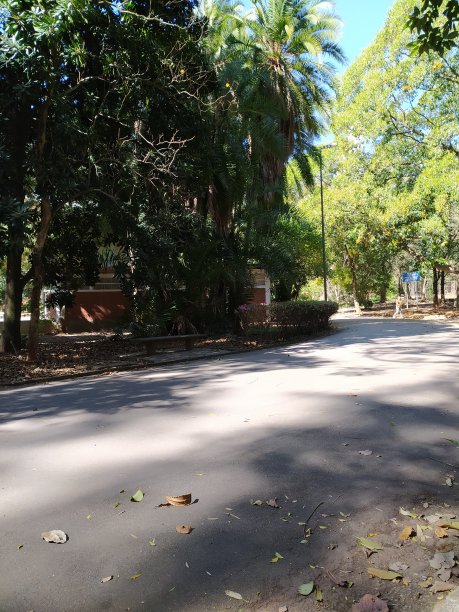 圣保罗的Aclimacao公园图片下载