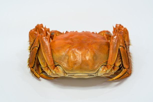 中秋节照片素材ID：383177196