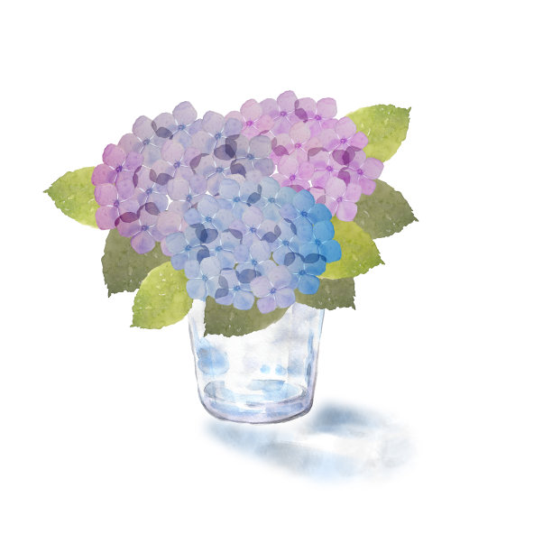 绣球花在玻璃罐中图片下载