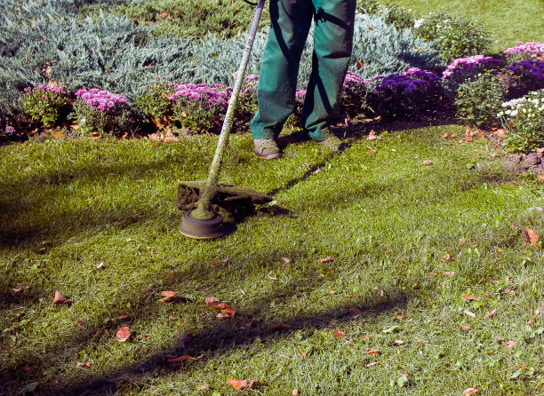 秋天在公园工作。园丁在冬天前割草。图片下载