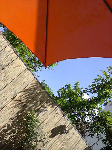 阳光明媚的蓝天，新鲜的绿色庭院阴影与木墙和橙色阳伞图片下载