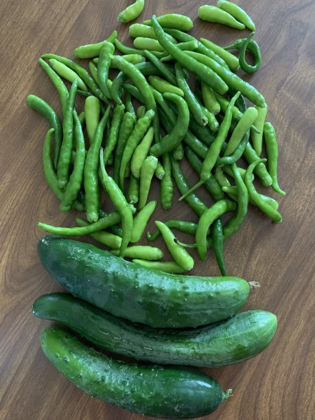 家加登收获季节图片下载