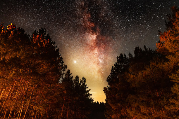 夜景，美丽的星夜森林和明亮的银河。自然美。图片下载