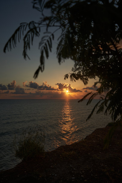 海边的日落，树木和灯塔图片下载
