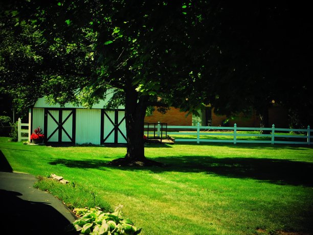 大城市的生活图片下载