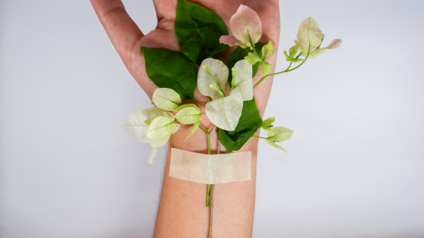 带花和茎在手腕上图片下载