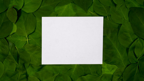 白纸笔记在绿叶背景上图片下载