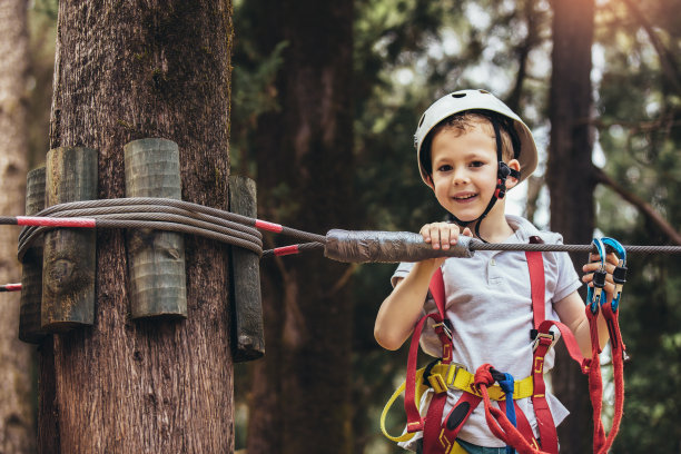 勇敢的小男孩在冒险公园玩得很开心图片下载