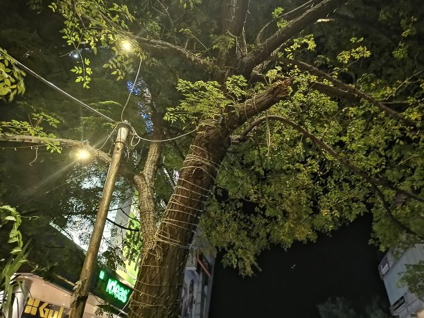 夜间摄影收藏图片下载