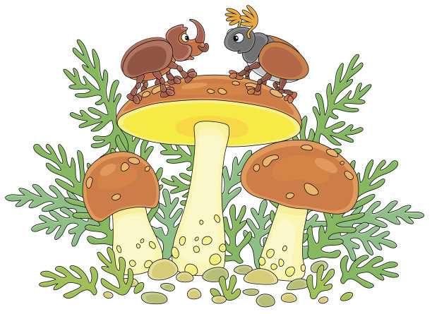 蘑菇和甲虫图片下载