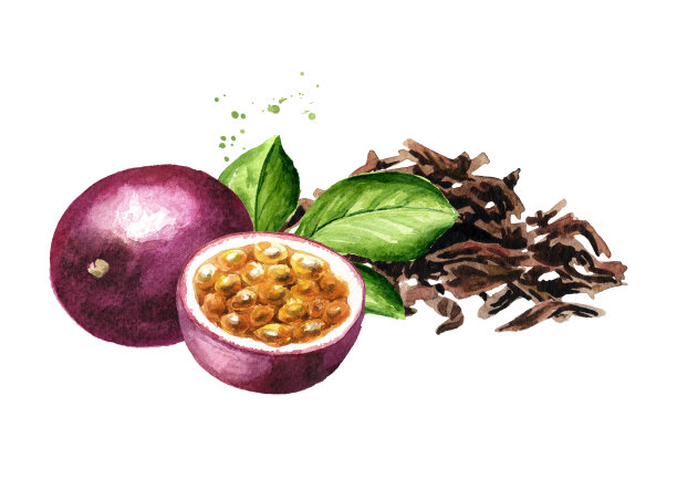 一堆干茶叶和百香果。手绘水彩插图孤立的白色背景图片下载