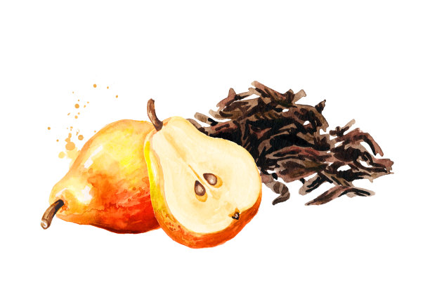 一堆干茶叶和梨。手绘水彩插图孤立的白色背景图片下载