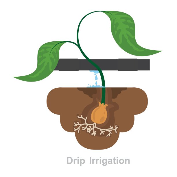 新鲜植物滴灌矢量图标图片下载