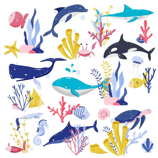 由鱼类，水下生物，螃蟹，贝壳，海星，海洋植物，海藻，海马，海豚，鲸鱼组成。矢量插图的自然野生动物的孩子图片下载