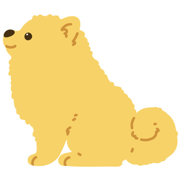 平色博美犬坐侧视图图片下载