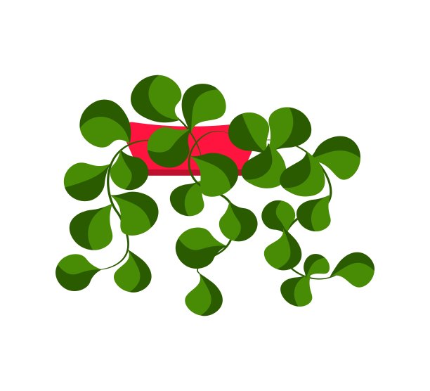 矢量插图花，植物生长在一个花盆。图片下载