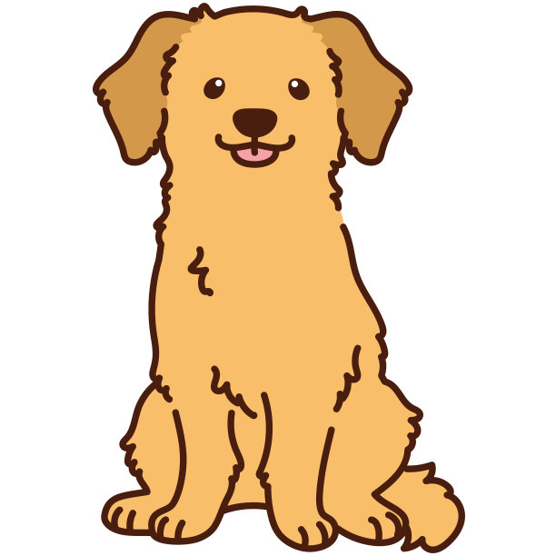 轮廓可爱的金毛猎犬坐着图片下载