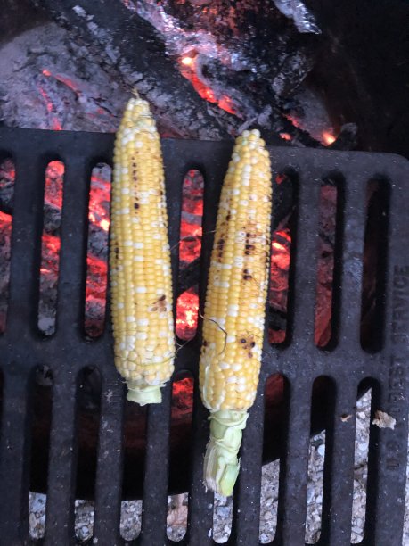 木炭上的烤玉米图片下载