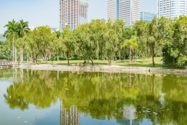 城市公园的湖景。深圳。中国图片下载