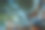 塔拉哈西市中心布洛克斯汉姆公园的夜晚照片，树上挂着节日彩灯图片下载