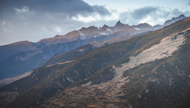 森林和树木景观纹理背景，色彩斑斓的自然景观风景亚丁，香格里拉，中国，西藏山区的秋天图片下载