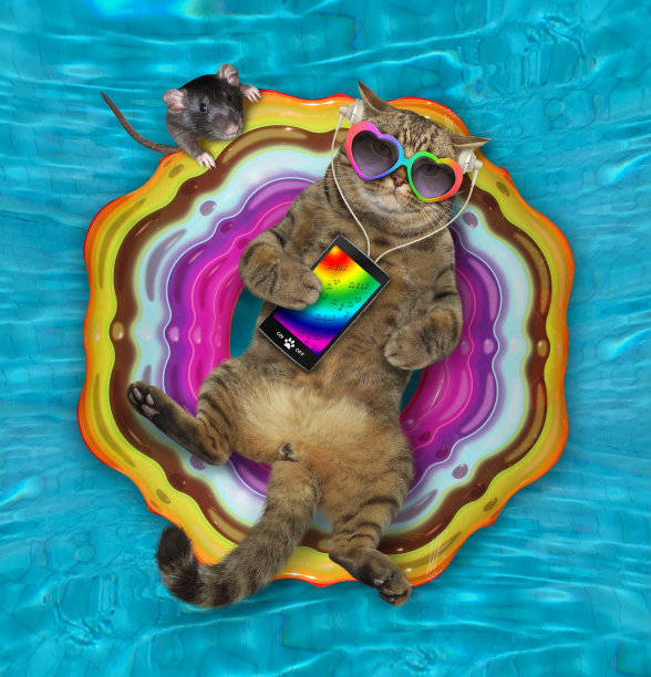 Cat2在游泳池里听音乐图片下载