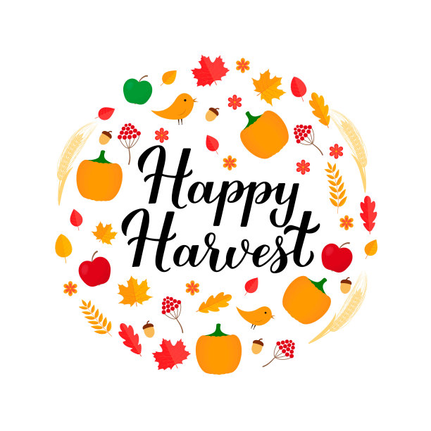 用秋叶、南瓜和麦穗写的“收获快乐”字。矢量模板的旗帜，排版海报，传单，明信片，贴纸，标志设计等图片下载