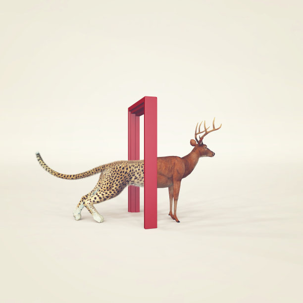 猎豹进入一扇门，然后像鹿一样出来。改变心态和不同的方法概念。改变人生的决定和新的机会。这是一个3d渲染图。图片下载