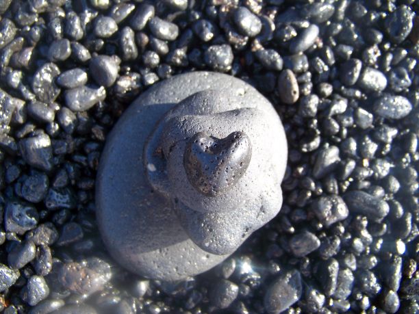 由潮湿光亮的海洋碎石相互叠加而成。上面的木瓦呈心形。俯视图图片下载