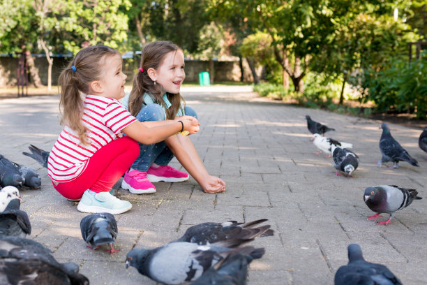 阳光明媚的日子里，可爱的小女孩们在公园的小路上用手喂食一群鸽子。孩子们与鸟互动。孩子们在户外照顾动物。图片下载