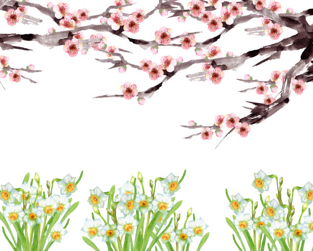 梅花和水仙图片下载