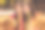 两个积极的伙伴女孩的特写照片享受秋天公园森林放松抱收集枫叶穿明亮的装图片下载