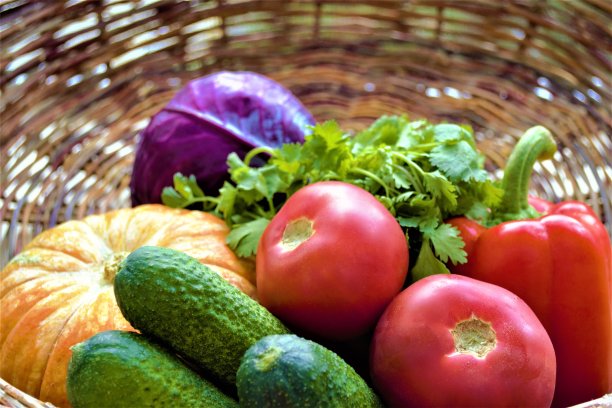 作物:蔬菜的特写:西红柿，南瓜，红卷心菜，黄瓜，甜椒和绿色香菜在柳条背景的篮子里图片下载