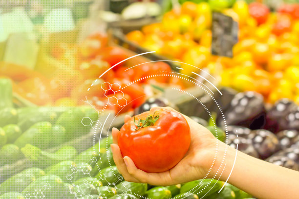 女性手在超市挑选西红柿。健康食品的概念，生物，素食，饮食。图片下载
