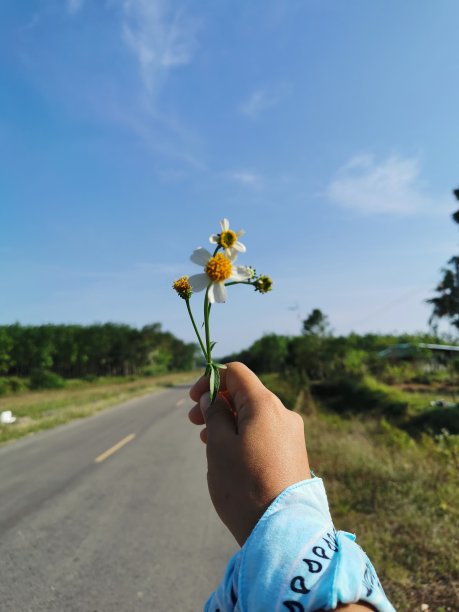 5、小草鲜花手握天空图片下载