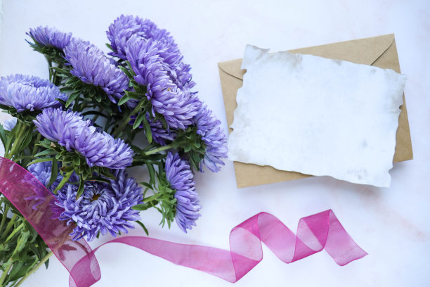 明信片的布局。图片下载