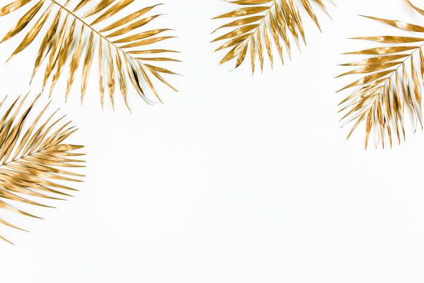 金色的热带棕榈叶在白色的背景上。平躺，俯视图最小的概念图片下载