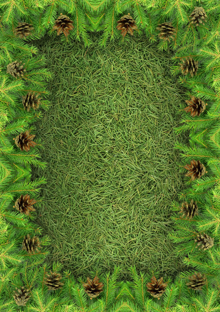 圣诞节的框架图片下载