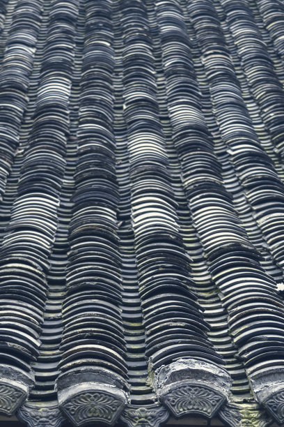 老房子的老瓦屋顶上长满了青苔图片下载