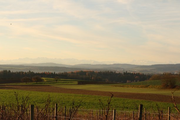 瑞士苏黎世州的早晨心情图片下载