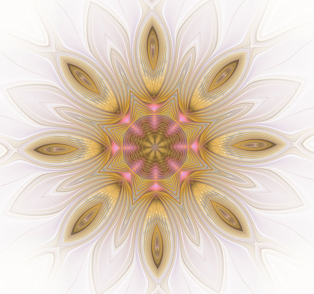 抽象分形美丽的金粉花图片下载