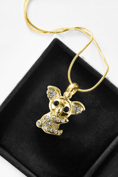 盒子里的项链图片下载