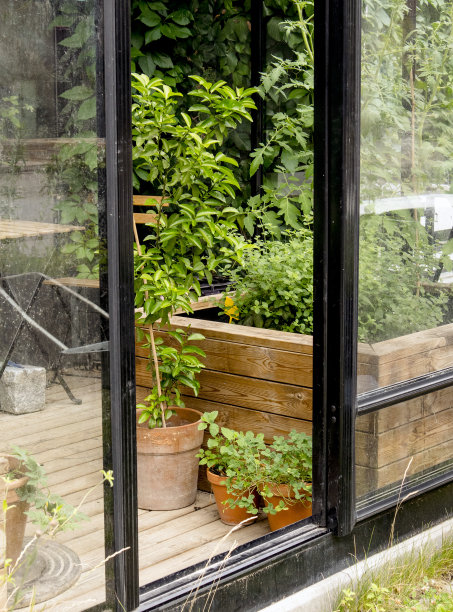 现代温室入口。各种盆栽植物生长。图片下载