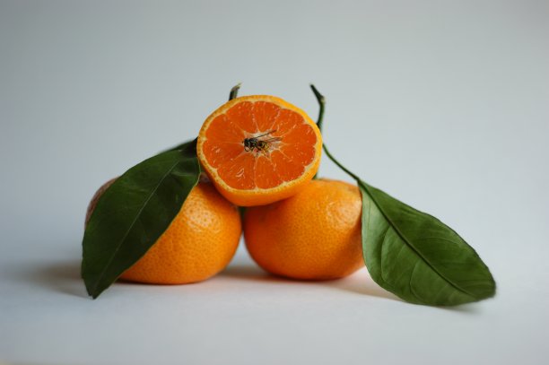 蜜蜂和橘子。一只蜜蜂在成熟多汁的橘子上爬行。图片下载