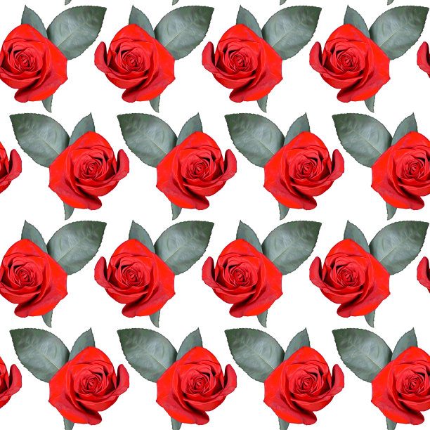无缝图案与红玫瑰花和绿叶在白色的背景。五彩缤纷的花卉纹理。光栅插图。图片下载