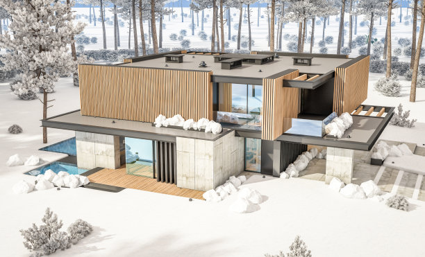 现代住宅的3d渲染与木板立面在冬天图片下载