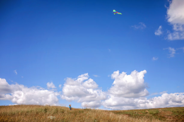 快乐的童年和夏天。孩子们玩得很开心，在户外玩风筝图片下载
