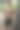 性感的赤膊肌肉的年轻人在运动服显示六个腹肌在公园外面。图片下载